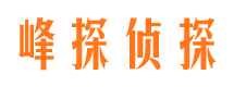 桃江侦探公司